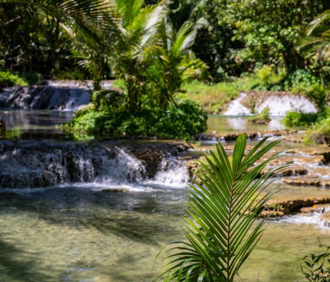 ecotourisme antilles