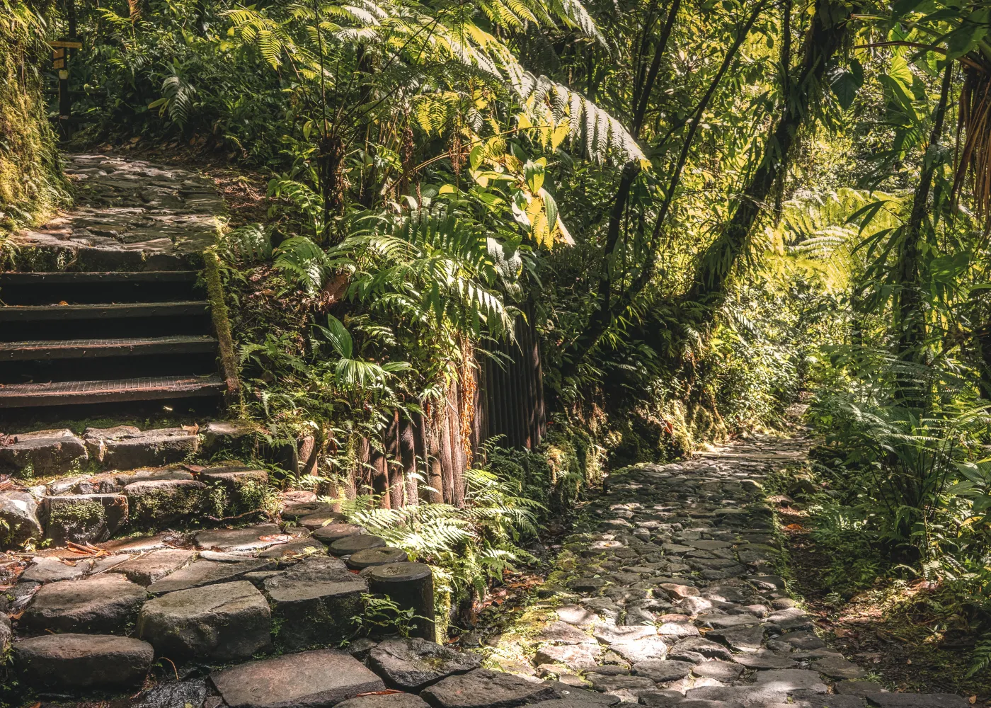 lieux meconnus guadeloupe2