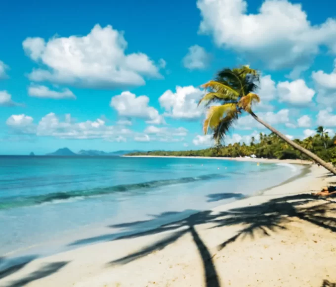 martinique en juillet2