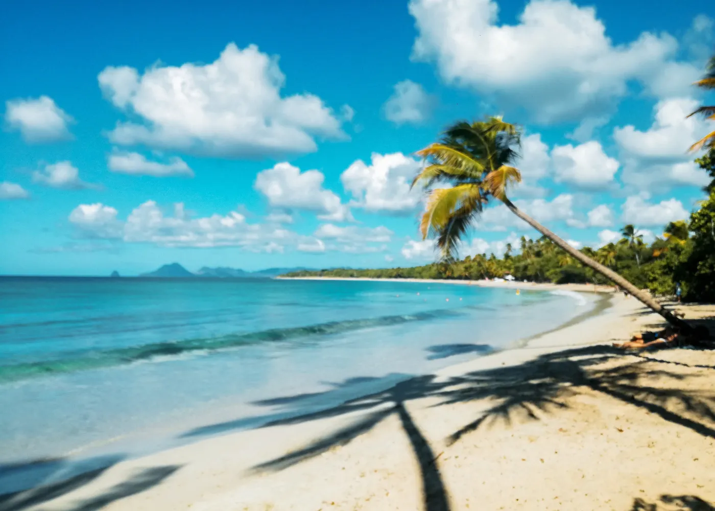 martinique en juillet2