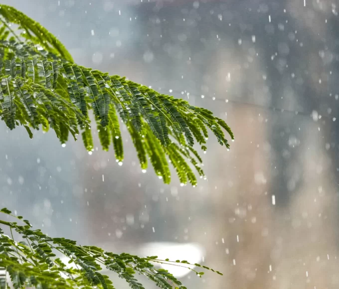 martinique quand il pleut