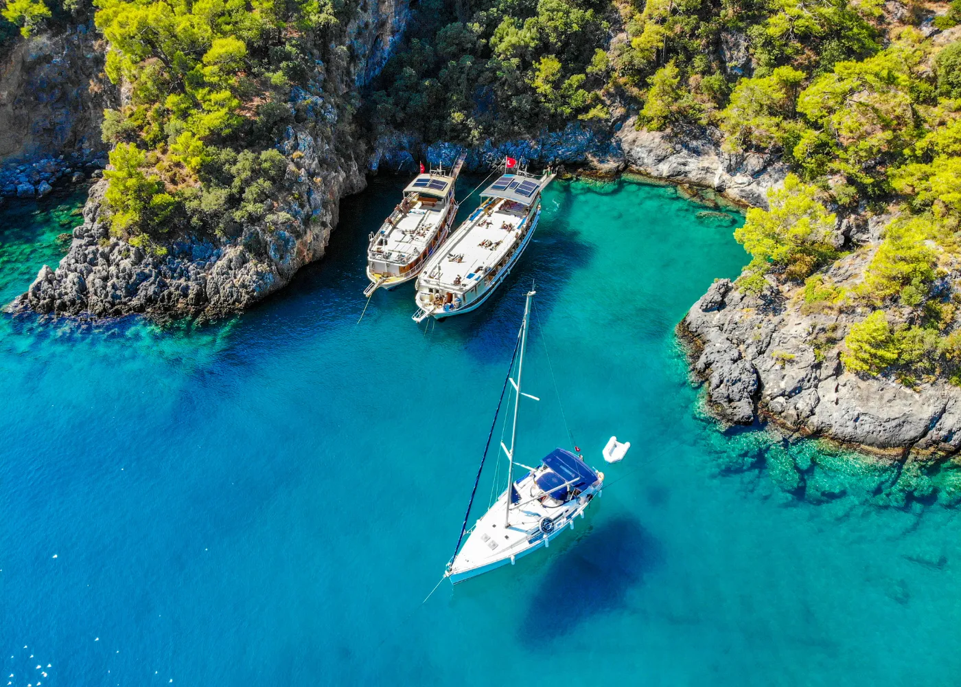 martinique sans voiture