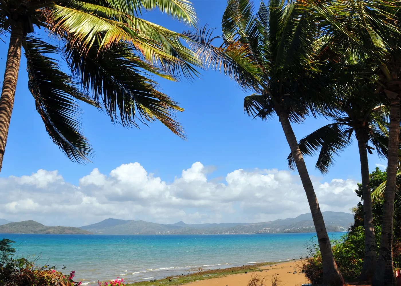 petite terre guadeloupe2