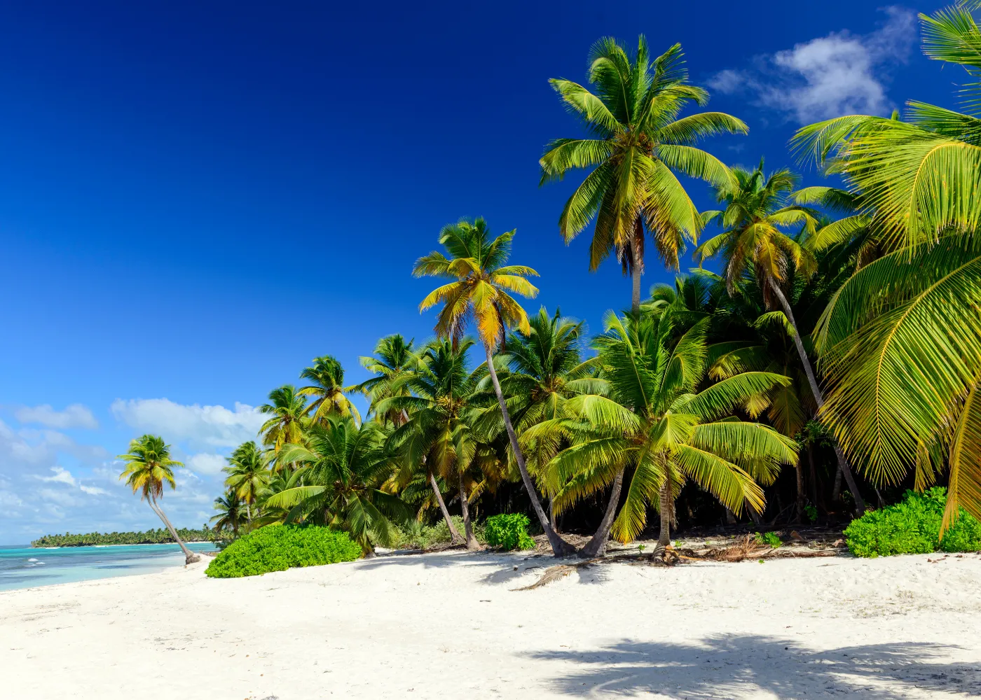 plages des caraibes2