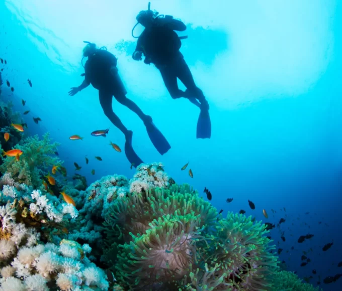 plongee sous marine martinique2