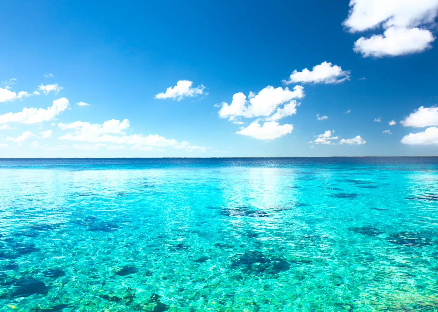 temperature mer caraibes