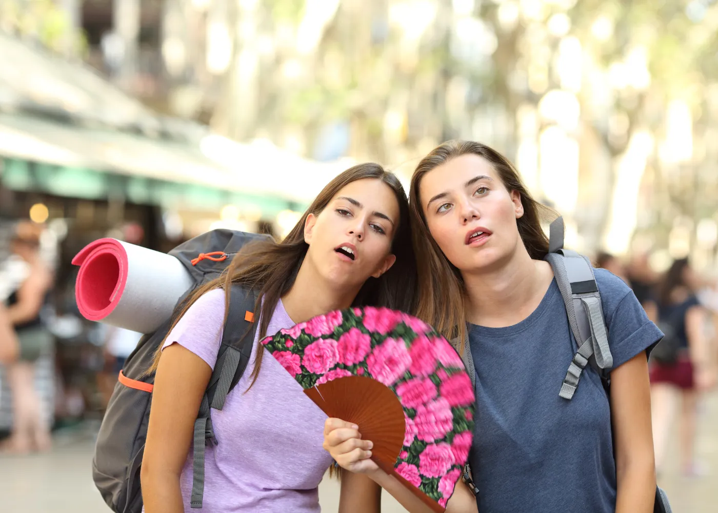 secrets survivre chaleur