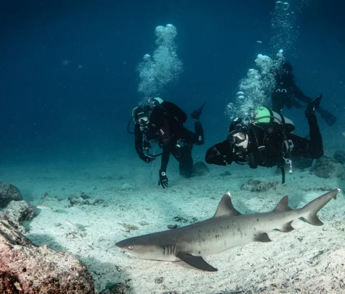 spots plongée europe