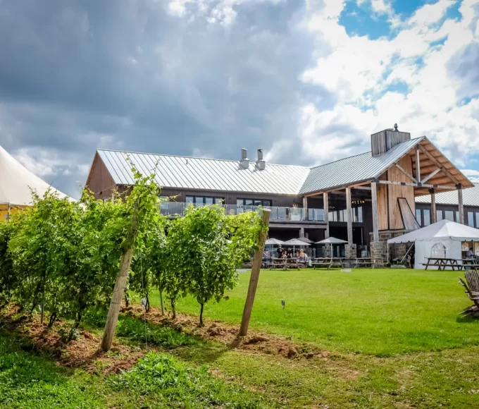 vacances amateurs de vin