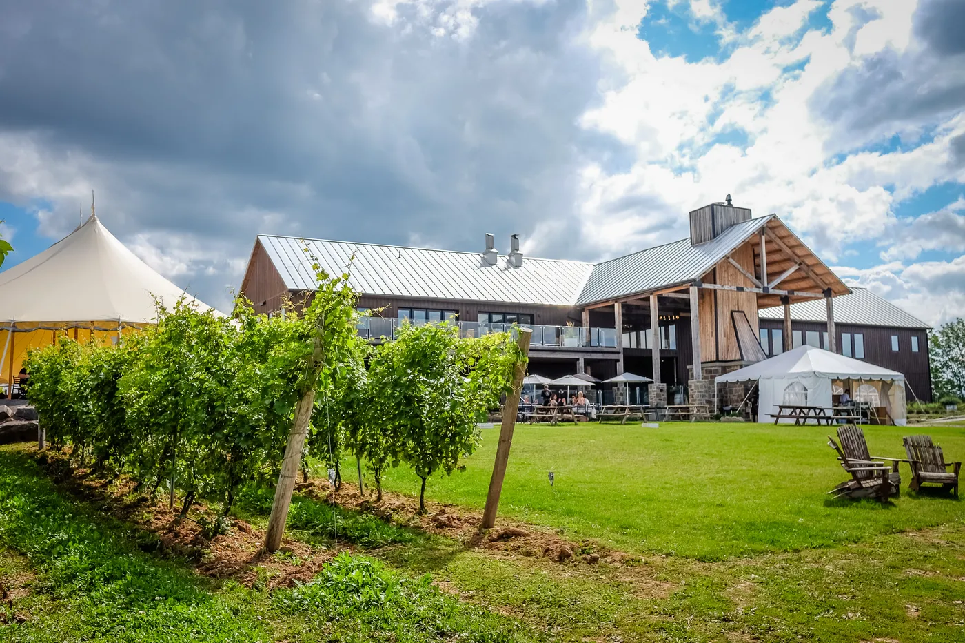 vacances amateurs de vin