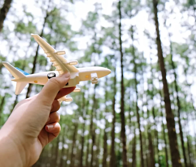 vols low cost astuces