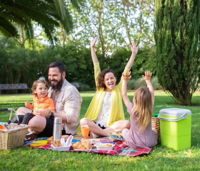 accessoires pique nique