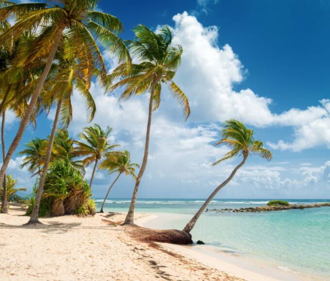 seychelles guadeloupe attendent maurice vous