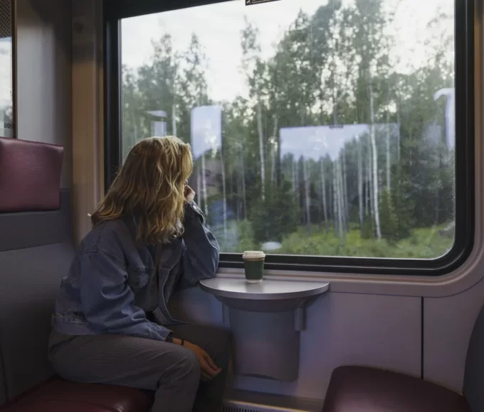 voyage train animaux