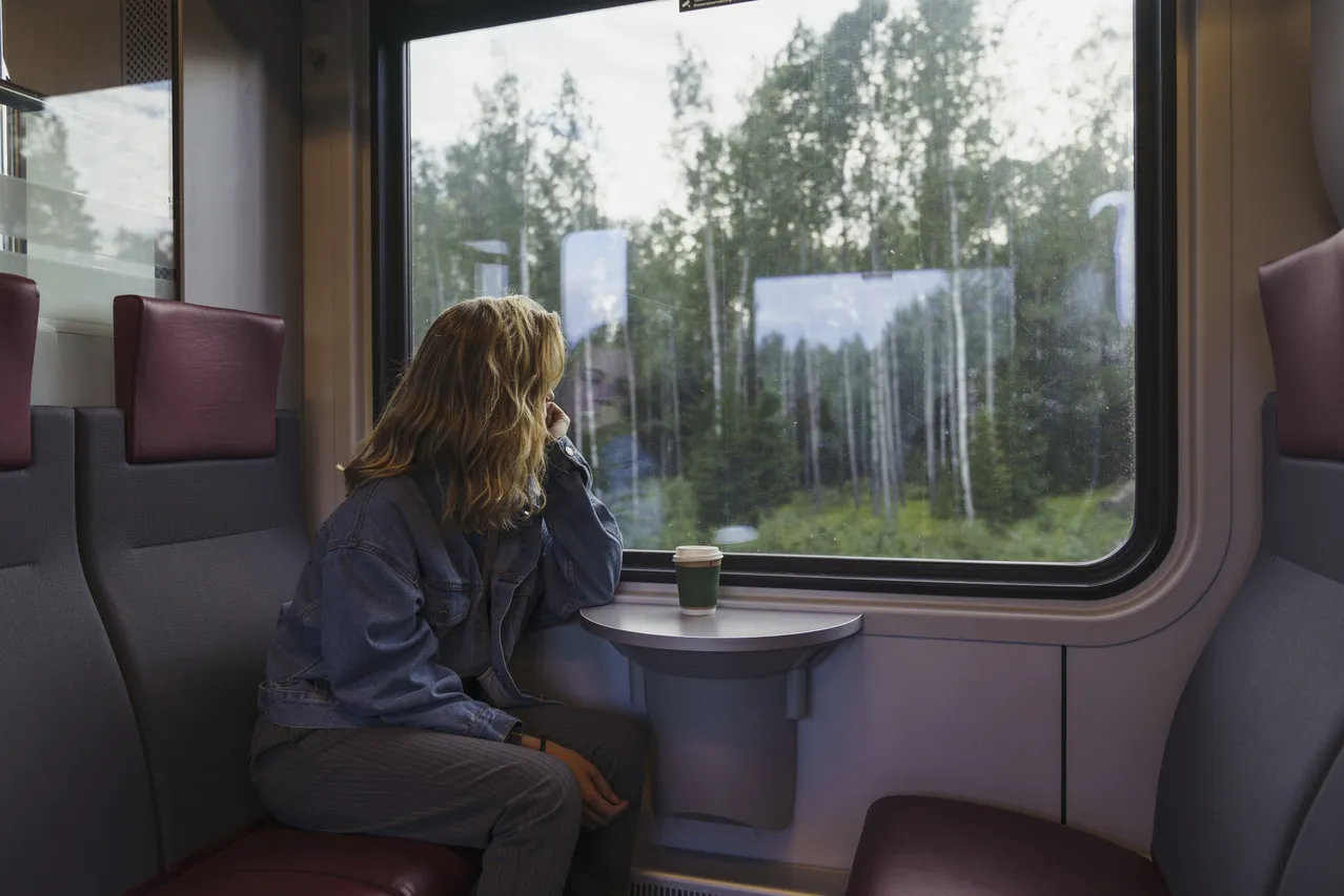 voyage train animaux
