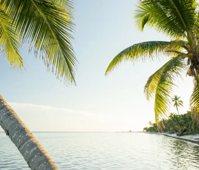 meilleure-periode-caraibes