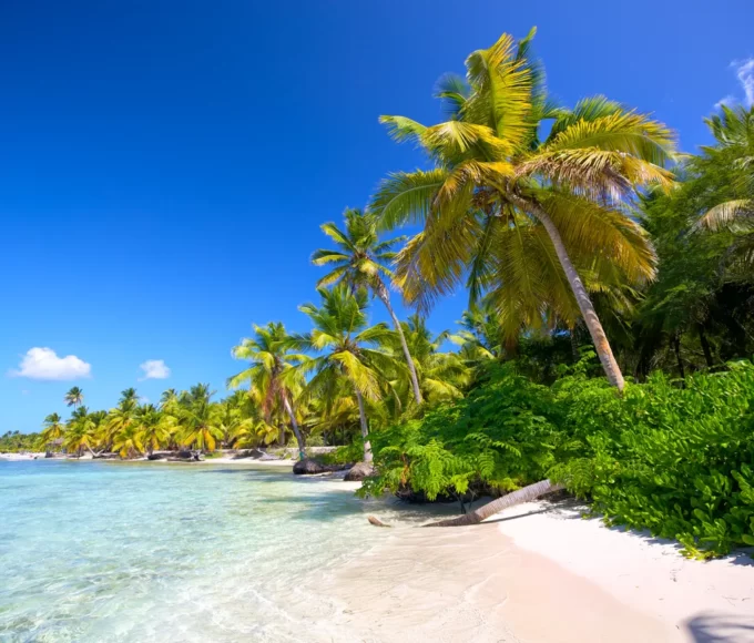 expatriation-caraibes