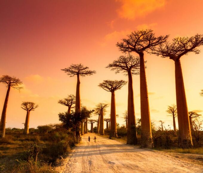 visu-madagascar-vacances-pourquoi-rendre-hiver