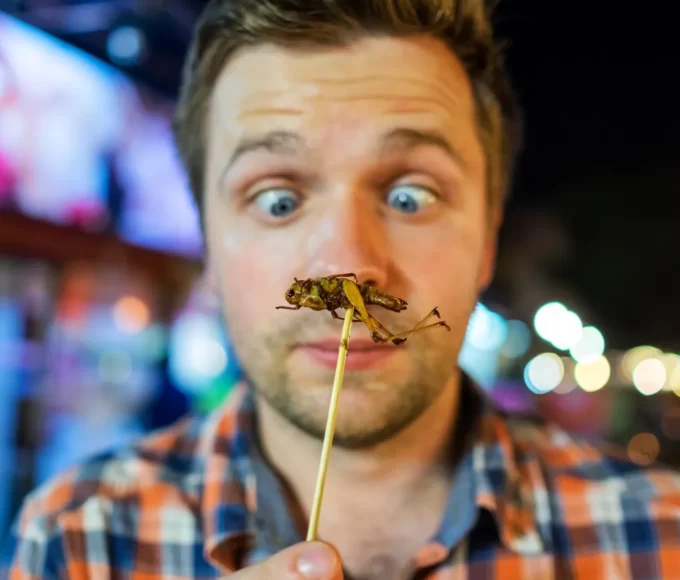 Les 5 plats les plus bizarres du monde : Un top à déguster !