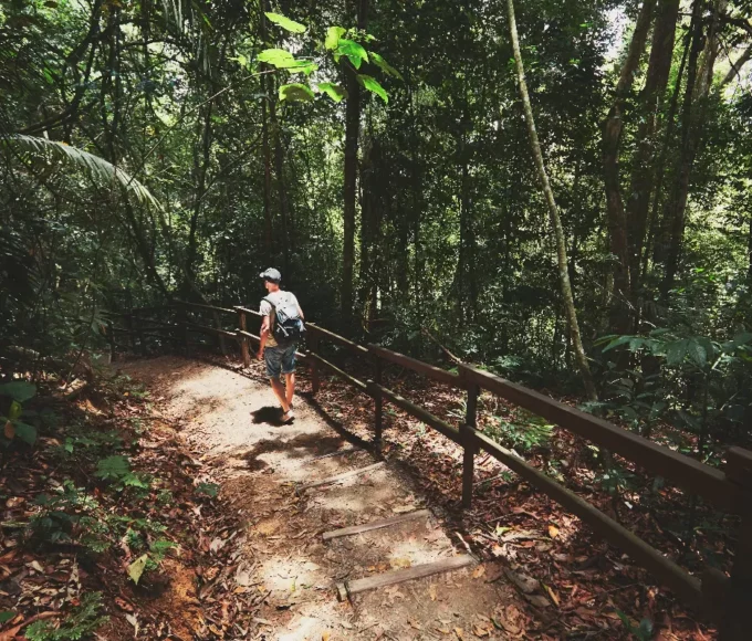 coeur-sauvage-de-borneo-randonnee-dans-la-jungle-et-rencontre-avec-les-orangs-outans
