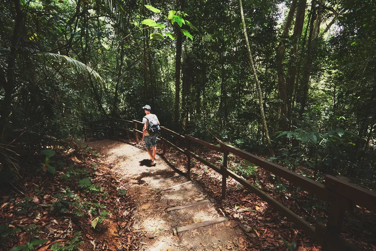 coeur-sauvage-de-borneo-randonnee-dans-la-jungle-et-rencontre-avec-les-orangs-outans