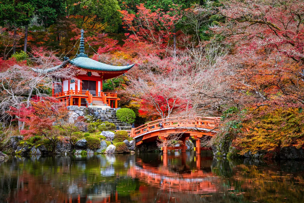 Japon Authentique : Astuces pour Plonger dans la Culture Profonde et les Traditions Uniques