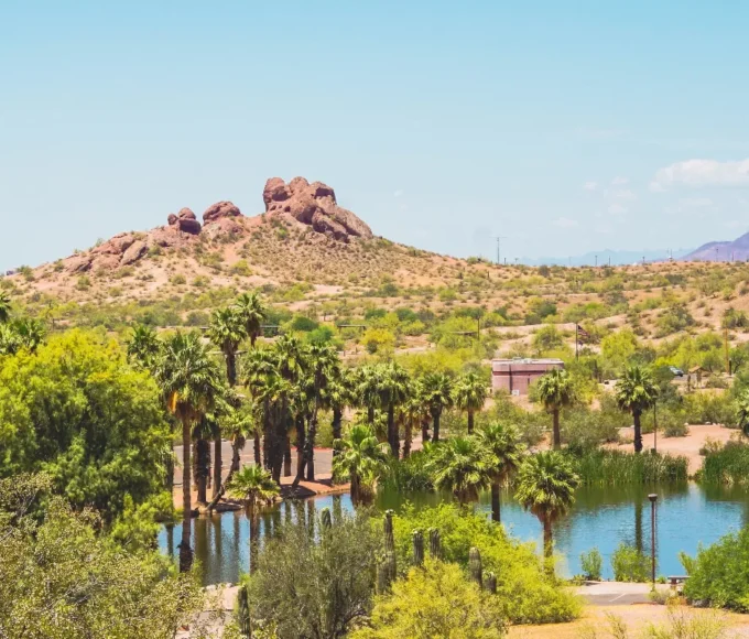 decouvrez-les-secrets-des-plus-beaux-oasis-du-desert