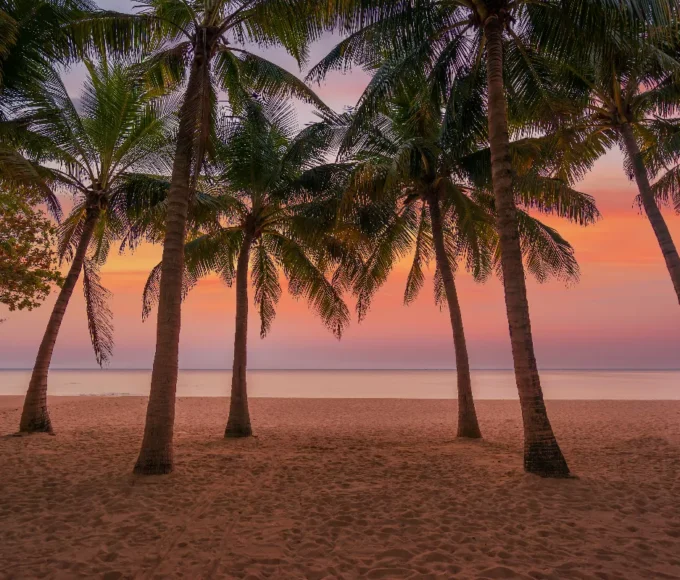 evasion-tropicale-les-plages-paradisiaques-de-guadeloupe-a-ne-pas-manquer