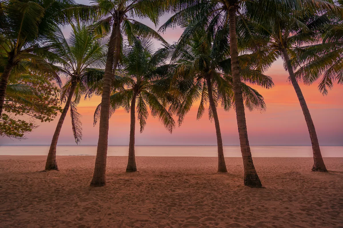 evasion-tropicale-les-plages-paradisiaques-de-guadeloupe-a-ne-pas-manquer