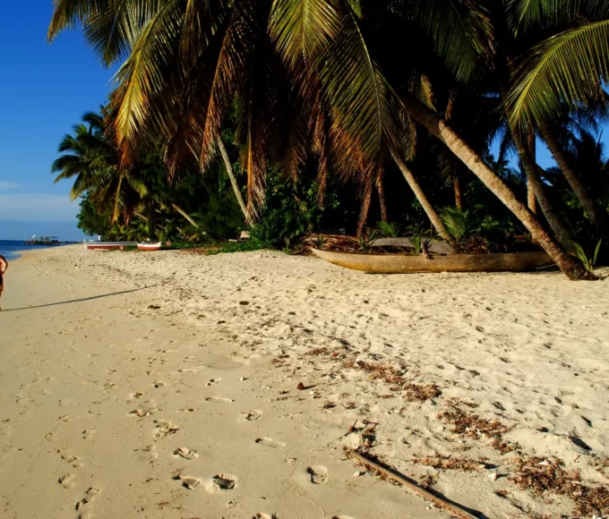 explorez-les-secrets-de-madagascar-une-ile-aux-mille-couleurs