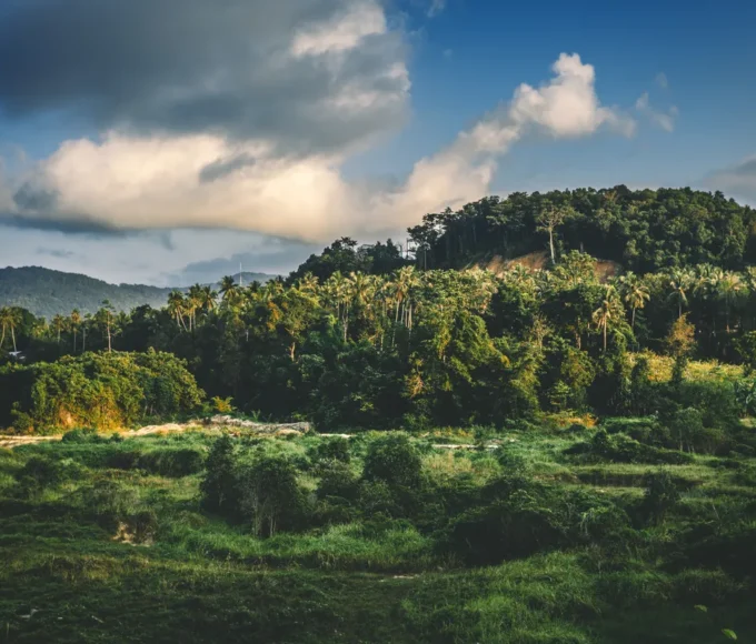 Conseils locaux : Les secrets partagés par les habitants pour une expérience unique