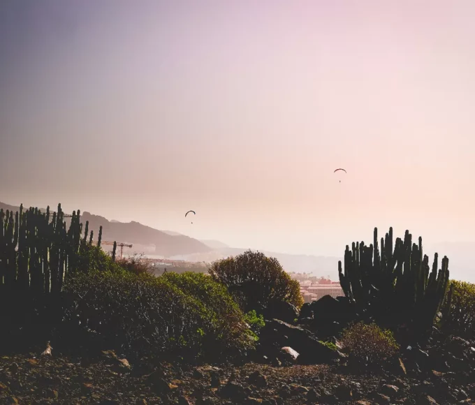 les-iles-canaries-des-paysages-volcaniques-a-couper-le-souffle