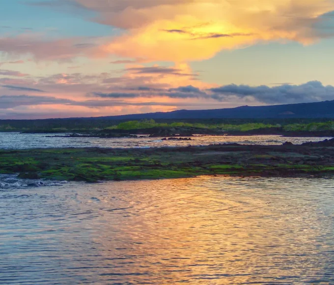 les-iles-galapagos-un-paradis-pour-les-amoureux-de-la-nature-et-de-la-faune-sauvage