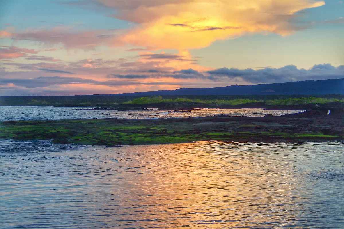 les-iles-galapagos-un-paradis-pour-les-amoureux-de-la-nature-et-de-la-faune-sauvage