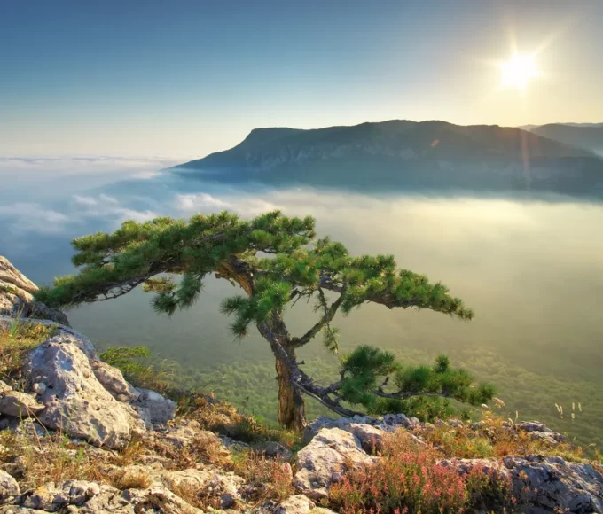 Instagram vs. Réalité : Les destinations de rêve et leurs coulisses surprenantes !