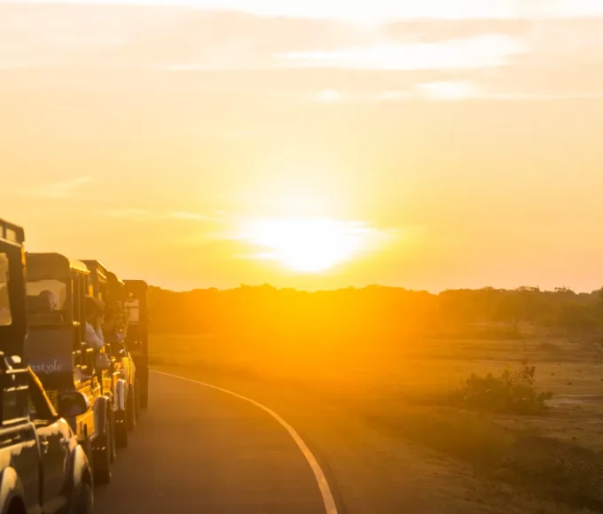 safari-en-afrique-les-aventures-exotiques-les-plus-etonnantes-a-decouvrir-absolument