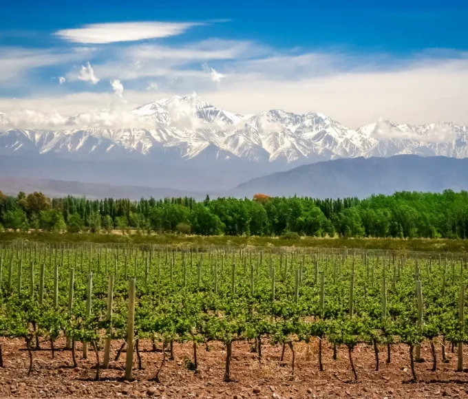 top-10-des-destinations-pour-les-amateurs-de-vin-explorez-les-vignobles-et-degustez-les-meilleurs-crus