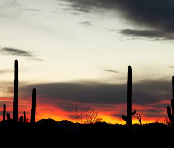 top-7-des-deserts-du-monde-a-explorer-pour-une-aventure-exotique