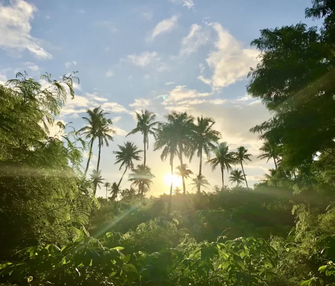 decouvrez-les-secrets-des-iles-fidji-un-paradis-sur-terre