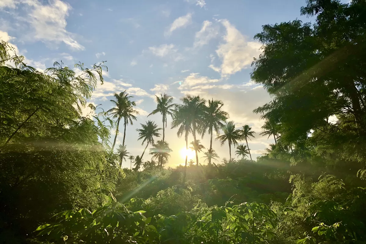 decouvrez-les-secrets-des-iles-fidji-un-paradis-sur-terre