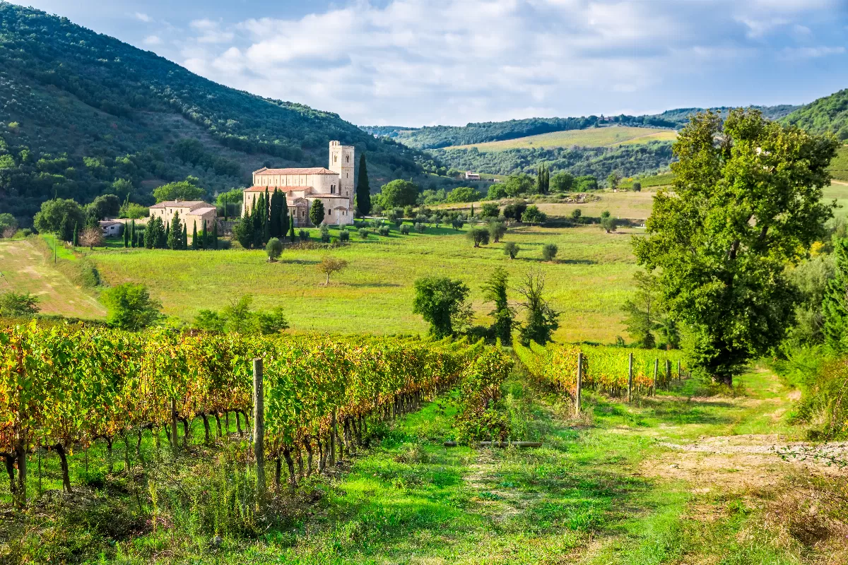 escapade-dans-les-vignobles-de-la-toscane-degustation-de-vins-fins-et-decouverte-des-villages-medievaux