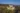 les-chateaux-feeriques-deurope-un-voyage-a-travers-lhistoire