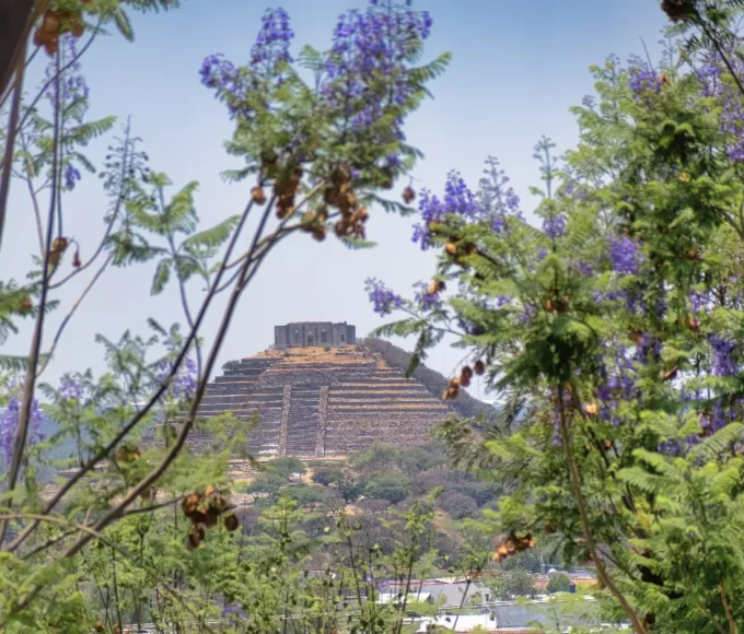 les-cites-mayas-oubliees-exploration-au-coeur-de-la-jungle