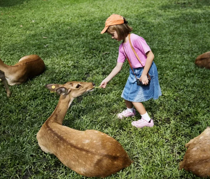 les-dessous-choquants-des-attractions-touristiques-populaires