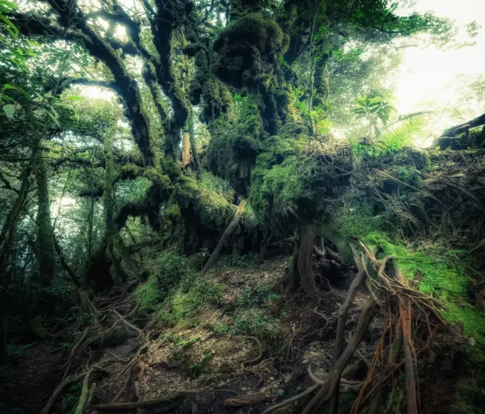 les-endroits-ou-la-gravite-ne-fonctionne-pas-comme-prevu