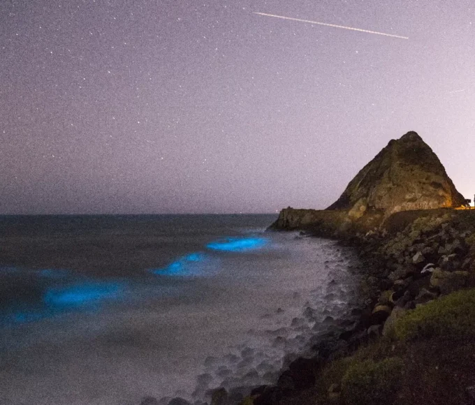 les-phenomenes-naturels-les-plus-etranges-et-ou-les-voir-partez-a-la-decouverte-des-merveilles-de-notre-planete