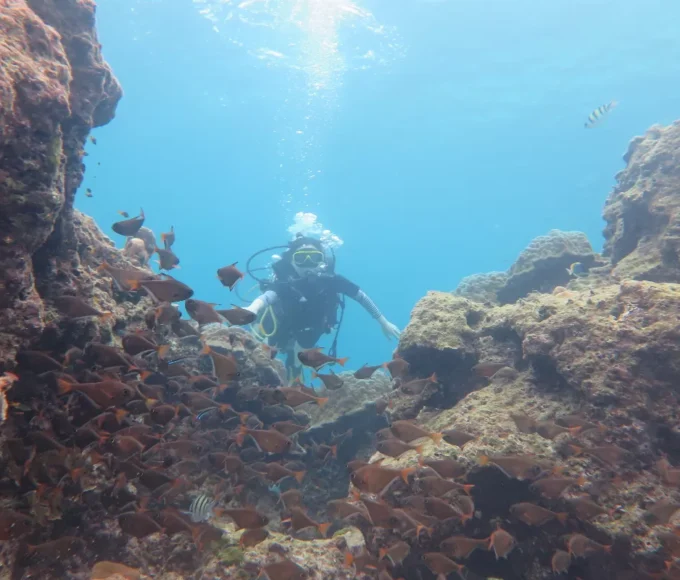 les-temples-engloutis-a-decouvrir-en-plongee-mysteres-aquatiques