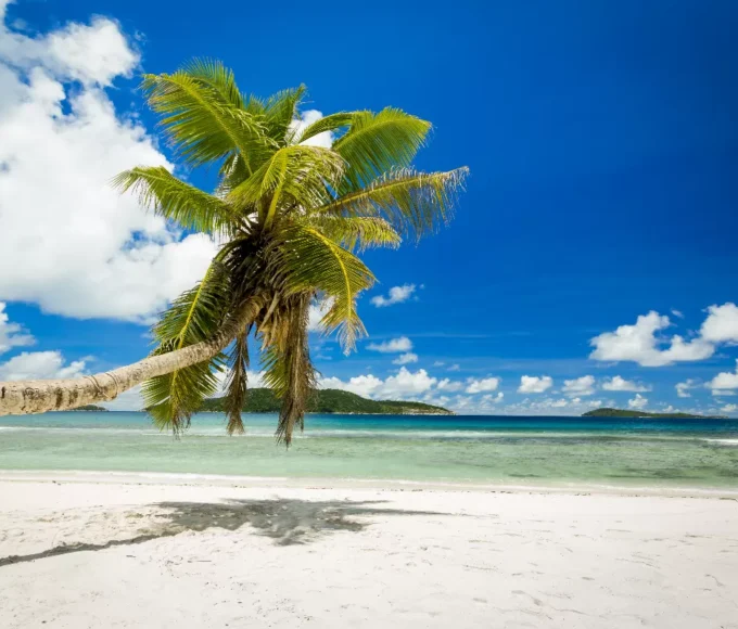 sejour-detente-sur-les-plages-preservees-des-seychelles