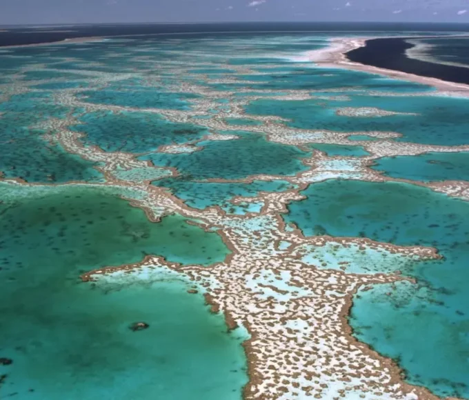 La Grande Barrière de corail