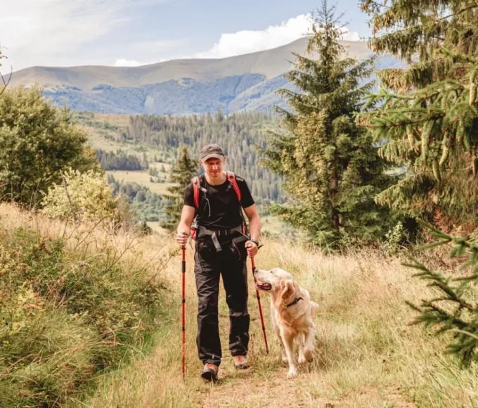 randonnée canine